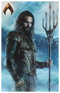 Justice League (2017) movie poster 11x17