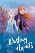 Frozen II (2019) movie poster 24x36