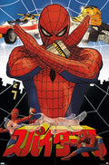 Spider-Man (2002) movie poster 22.25x34