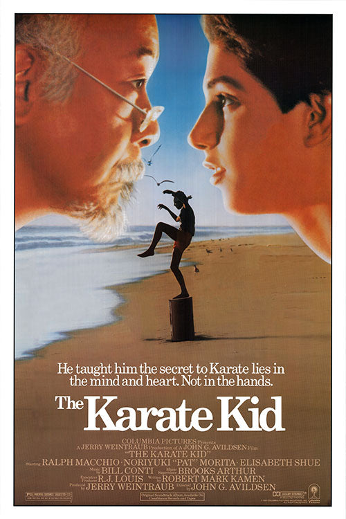 The Karate Kid (2010) movie poster 24x36