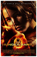 The Hunger Games: Catching Fire (2013) movie poster 11x17