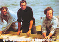 Jaws (1975) movie poster 33x23.5
