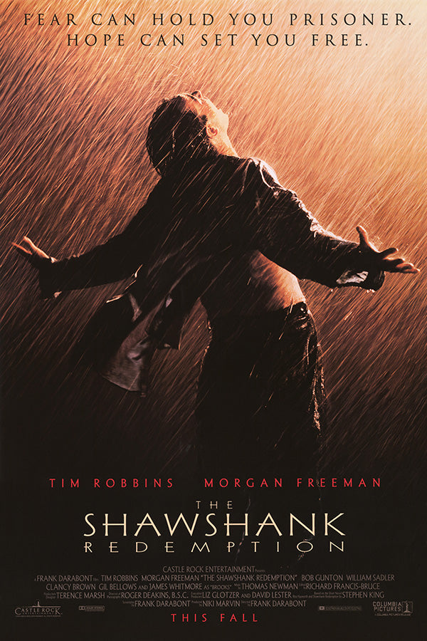 The Shawshank Redemption (1994) movie poster 24x36